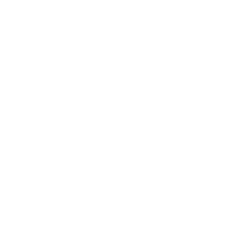 Full Customization Support